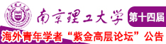 操粉嫩小逼南京理工大学第十四届海外青年学者紫金论坛诚邀海内外英才！